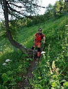 20170723-014-Piolit