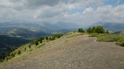 20170723-029-Piolit