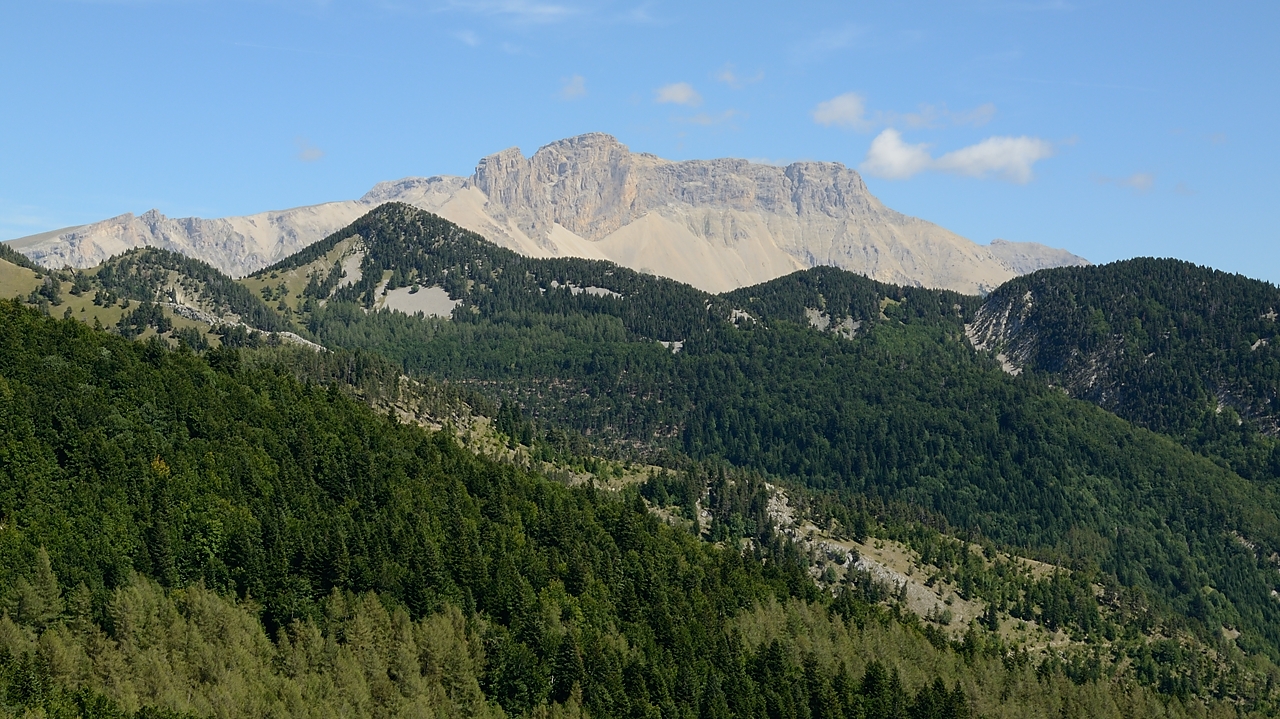 20170903-021-Chamousset.jpg - Dans le passage déboisée entre le Col de Recours et le Col des Tours : en face le Plateau de Bure (je dirais)