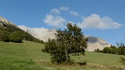 20170910-027-PicBure