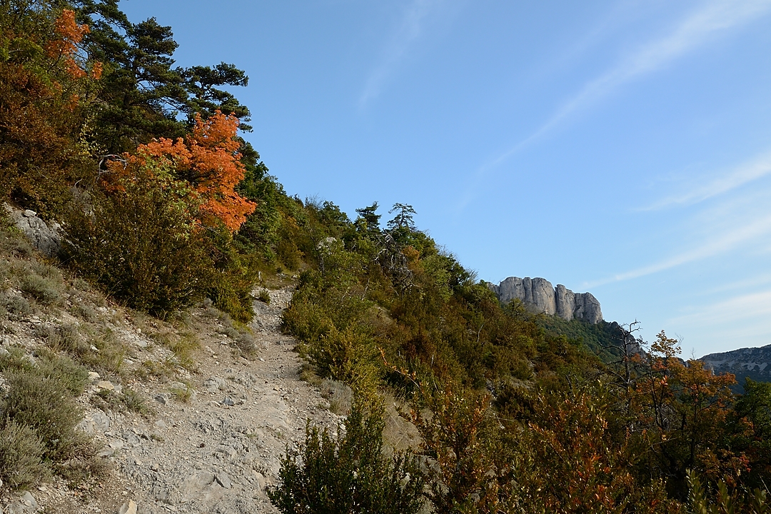 20170923-005-ButStGenix.jpg - Couleurs d'automne dans la montee