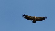 20170923-013-ButStGenix