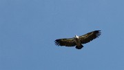 20170923-014-ButStGenix