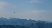 20170923-015-ButStGenix