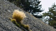 20170923-022-ButStGenix