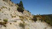 20170923-024-ButStGenix