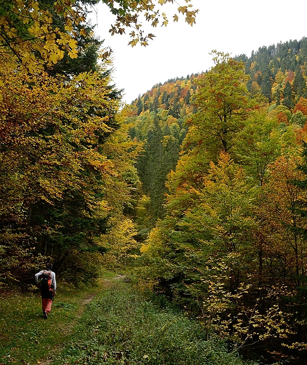 20170930-022-DentCrolles.jpg - Au début de la remontée vers le Col des Ayes (après une descente un peu chaotique, souvent hors du chemin en voie de disparition)
