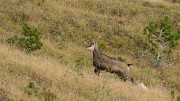 20170930-010-DentCrolles