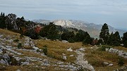 20170930-020-DentCrolles