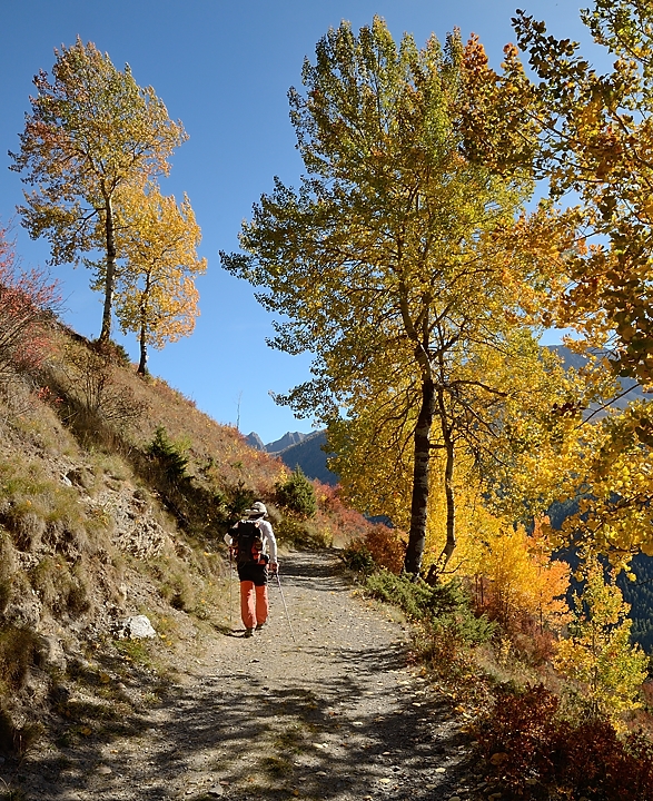 20171007-063-TeteCourbe.jpg - Finalement sur le chemin a plat qui mène en à peine 1km au parking de St Ours