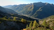 20171007-003-TeteCourbe