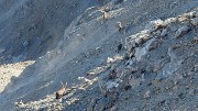 20171007-015-TeteCourbe