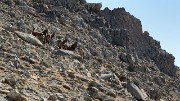 20171007-022-TeteCourbe
