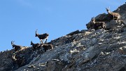 20171007-030-TeteCourbe