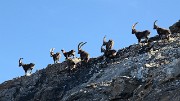 20171007-031-TeteCourbe