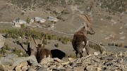 20171007-033-TeteCourbe