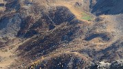 20171007-042-TeteCourbe