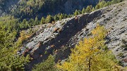 20171007-053-TeteCourbe