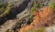20171007-057-TeteCourbe
