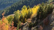 20171007-059-TeteCourbe