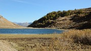 20171007-065-TeteCourbe