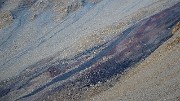 20171008-009-ColReverdillon