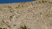 20171008-023-ColReverdillon