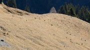 20171031-008-FreteGrenier