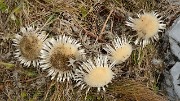 20171102-023-ColAnterme