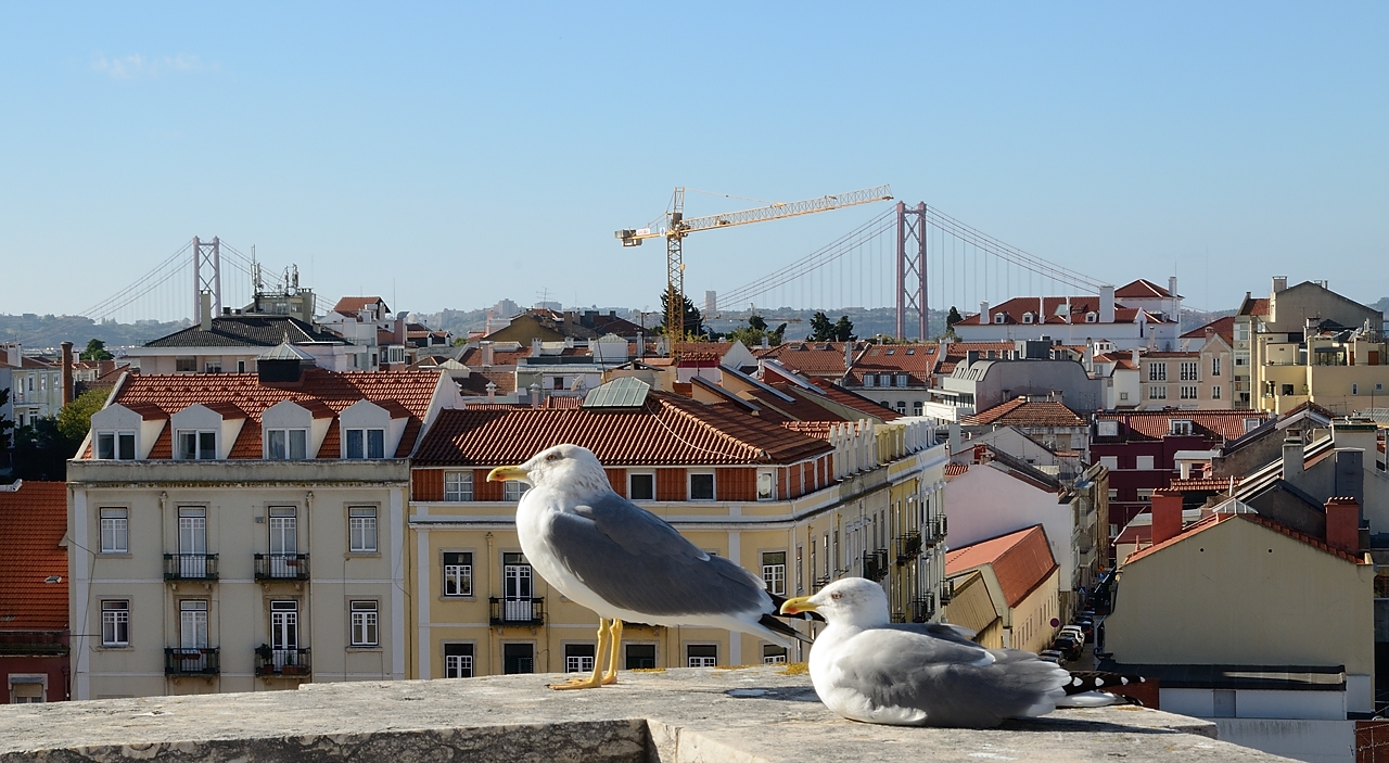 20171112-152-Lisboa.jpg - Views on and from the rooftop of Estrela Church