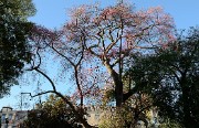 20171112-110-Lisboa