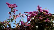 20171112-209-Lisboa