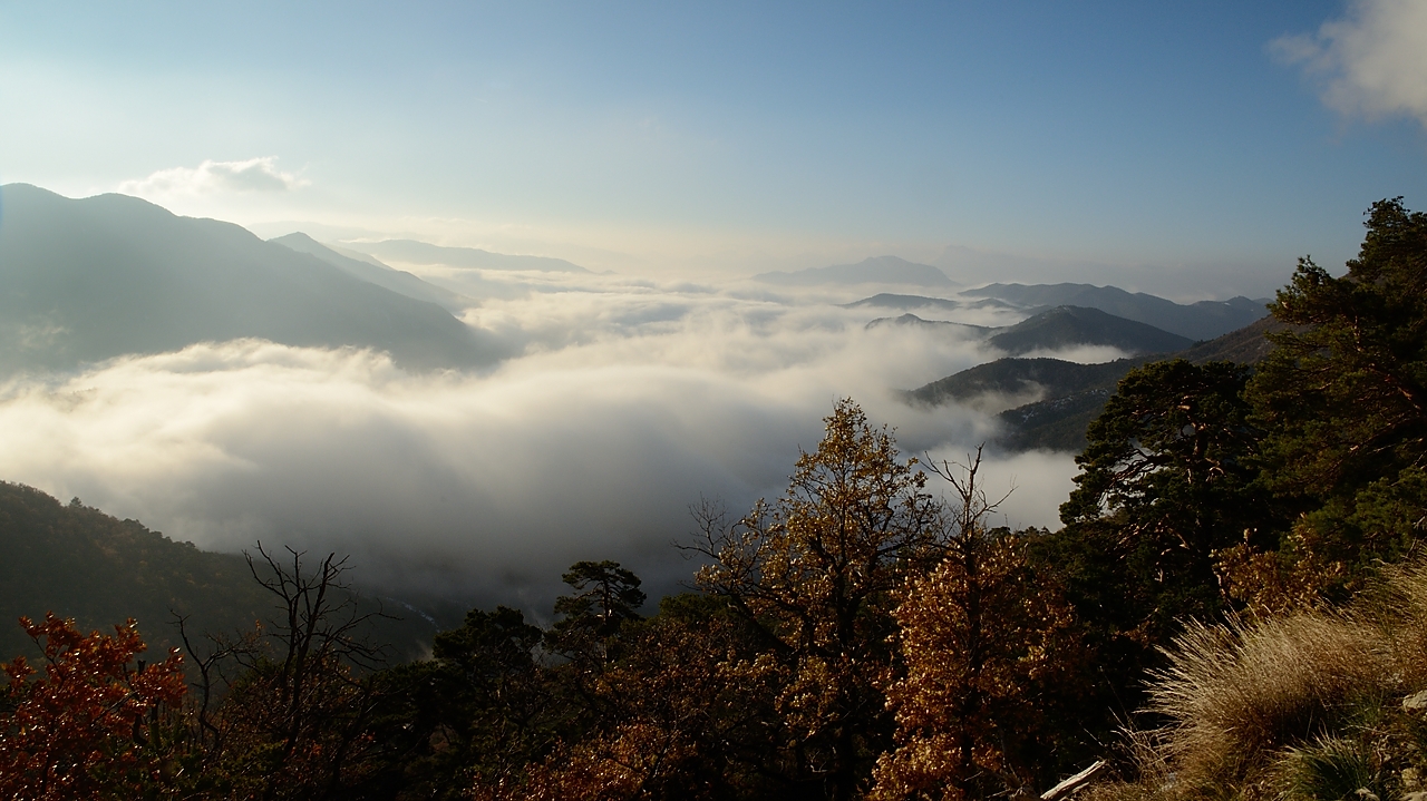 20171118-003-TeteDame.jpg - A 1000m avec une belle vue sur la mer de nuages ...