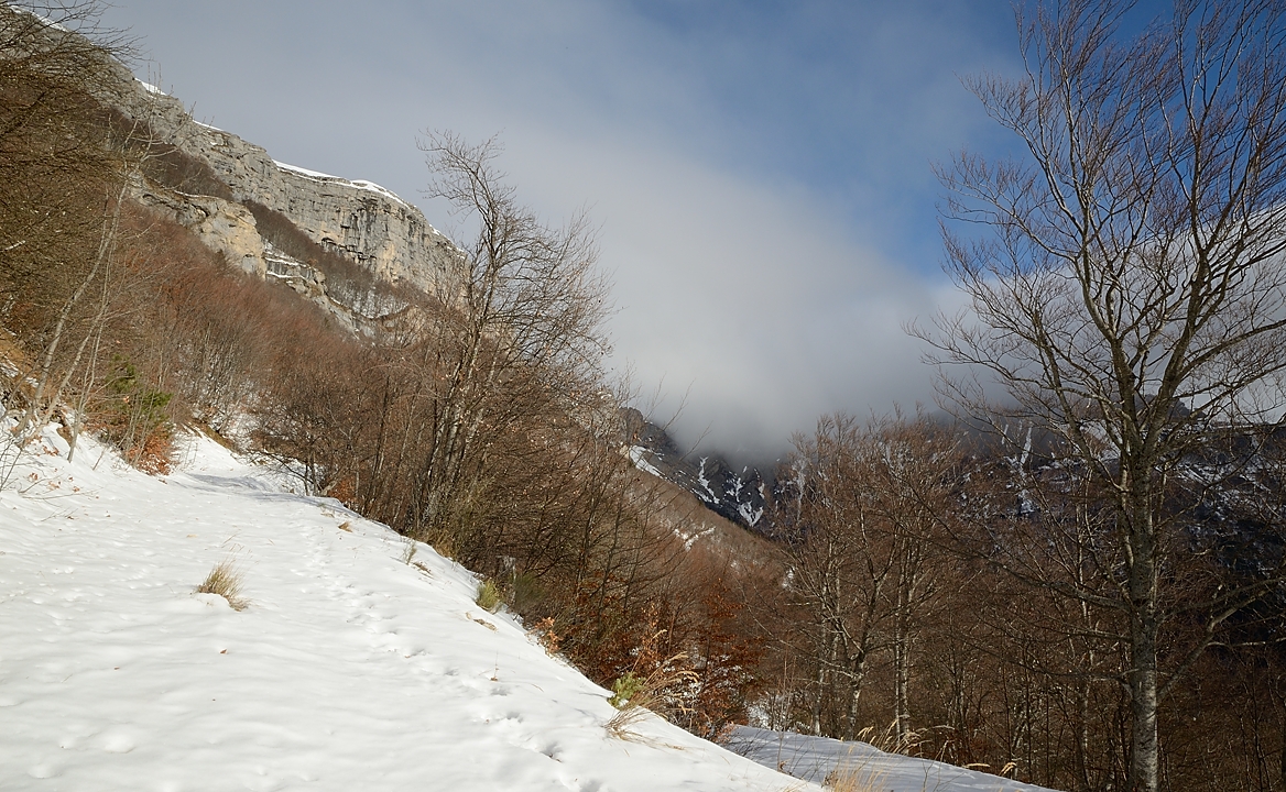 20171119-005-FondUrle.jpg - On arrive presque sous le plateau, plus de trace de voiture mais on est toujours un peu sur la route ... et on commence a sentir le vent. La Porte d'Urle est maintenant dans le nuage