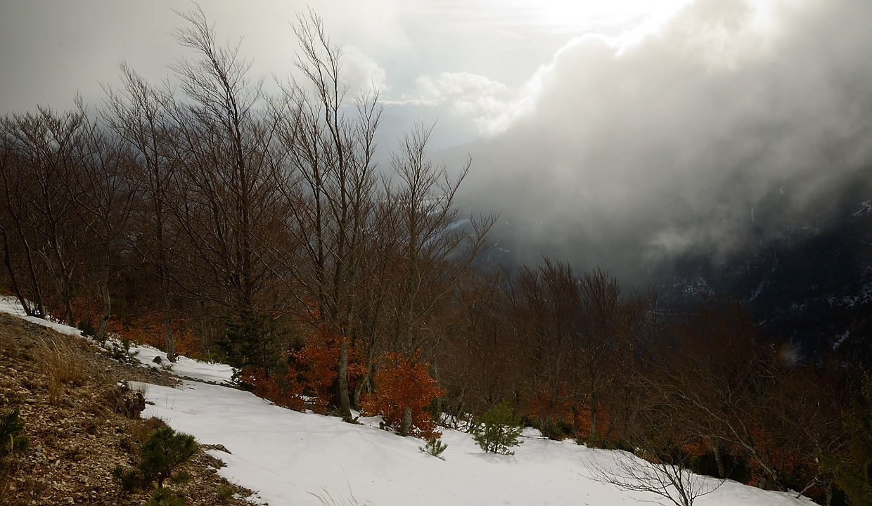20171119-011-FondUrle.jpg - Dans la descente de la Porte d'Urle : la on est sauvé, on est sur la route, plus haut il fallait deviner le chemin
