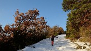 20171118-001-TeteDame