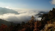 20171118-003-TeteDame