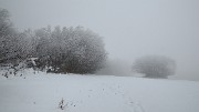 20171118-006-TeteDame