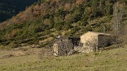 20171118-018-TeteDame