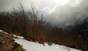 20171119-011-FondUrle