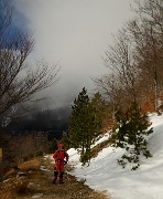 20171119-013-FondUrle