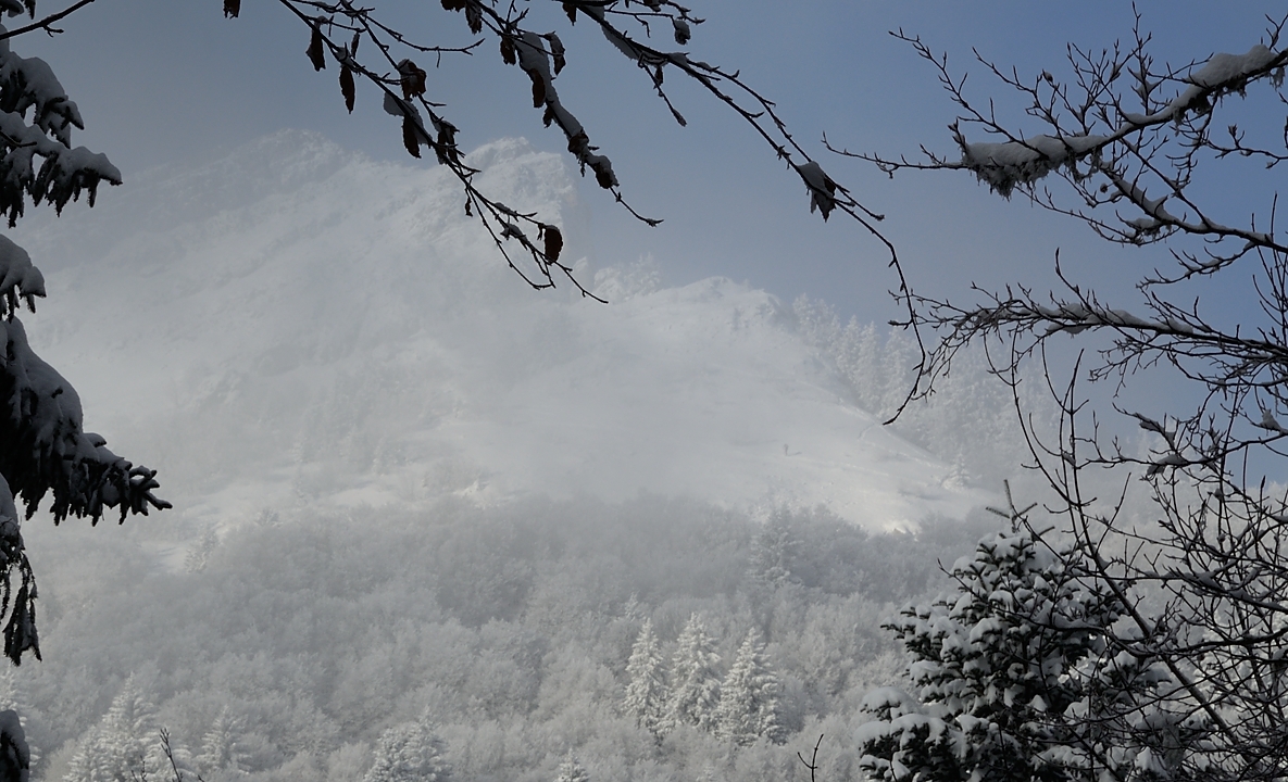 20171203-004-Pinea.jpg - ... mais il va et vient ... puis subitement on apercoit la Pinea