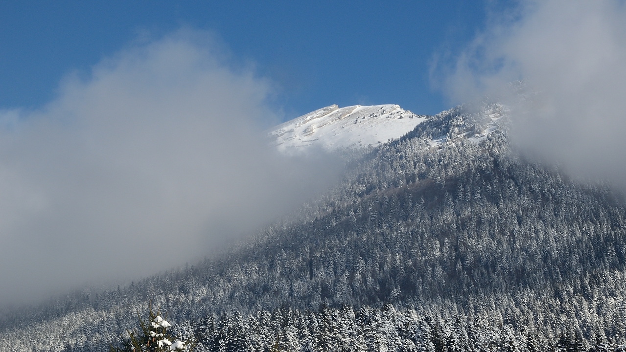 20171203-025-Pinea.jpg - On apercoit encore une fois Chamechaude (mais pas pour longtemps)