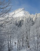 20171203-008-Pinea