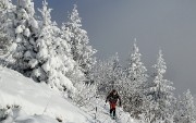 20171203-010-Pinea