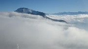 20171203-011-Pinea