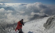 20171203-012-Pinea
