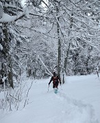 20171203-021-Pinea