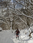 20171203-022-Pinea