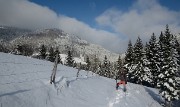 20171203-024-Pinea